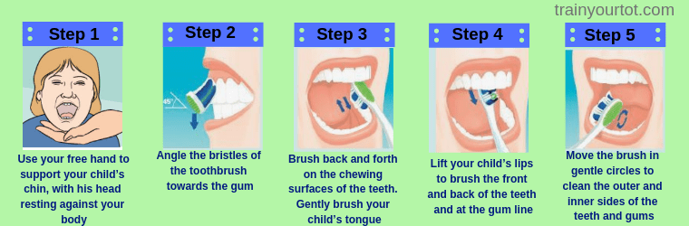 Step by step brushing 