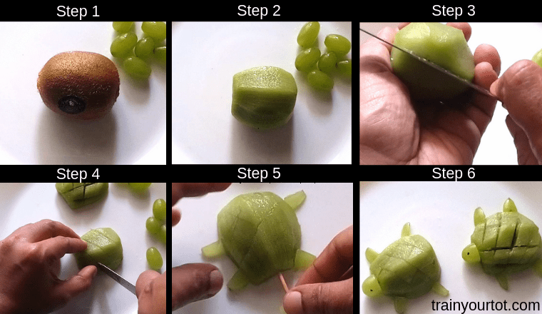 Kiwi Turtle -preparation method-trainyourtot